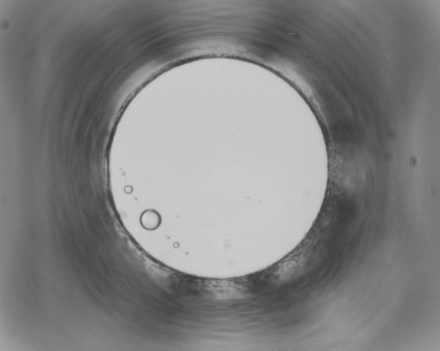 X0000078830807200612111518