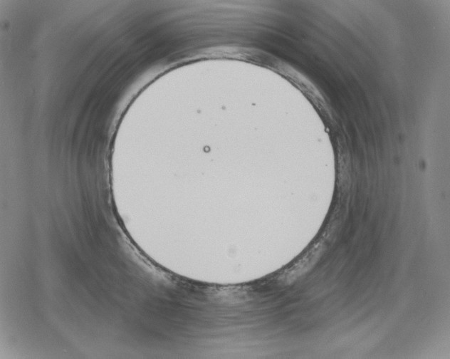 X0000078830808200612111518