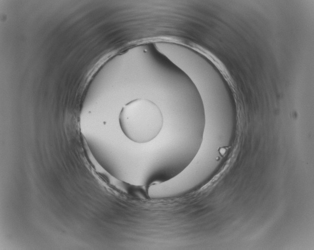 X0000078830809200612111518