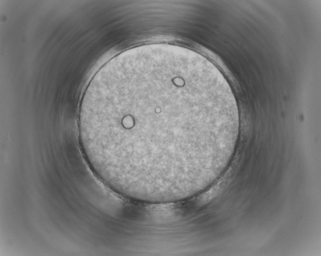 X0000078830810200612111518