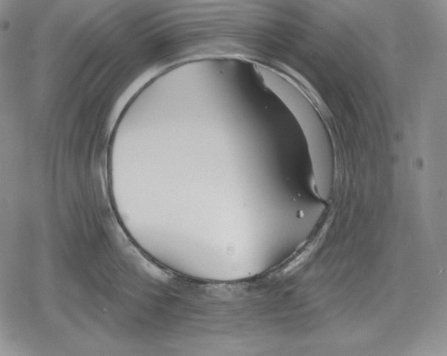 X0000078830812200612111518