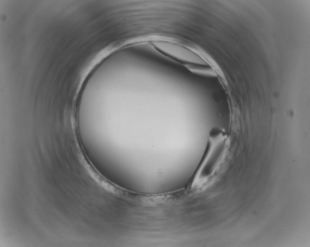 X0000078830813200612111518