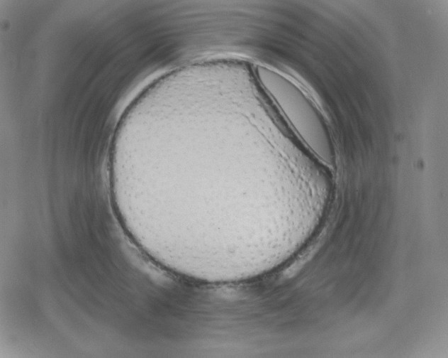 X0000078830814200612111518