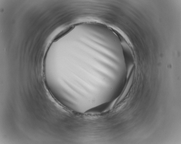 X0000078830815200612111518