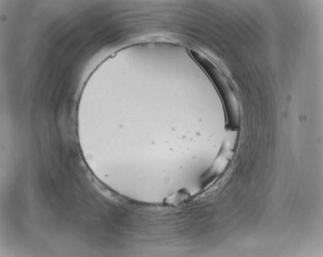 X0000078830816200612111518