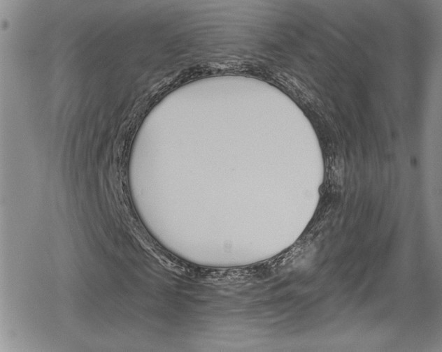 X0000078830817200612111517