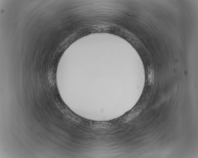 X0000078830819200612111517