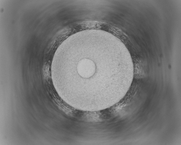 X0000078830820200612111517