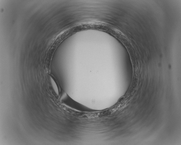 X0000078830822200612111517