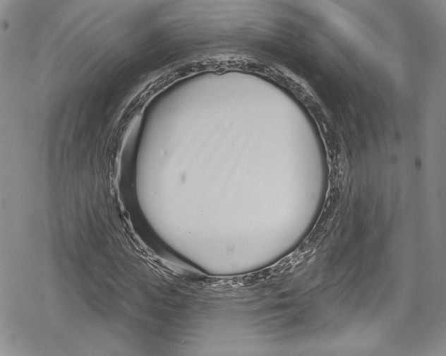 X0000078830823200612111517