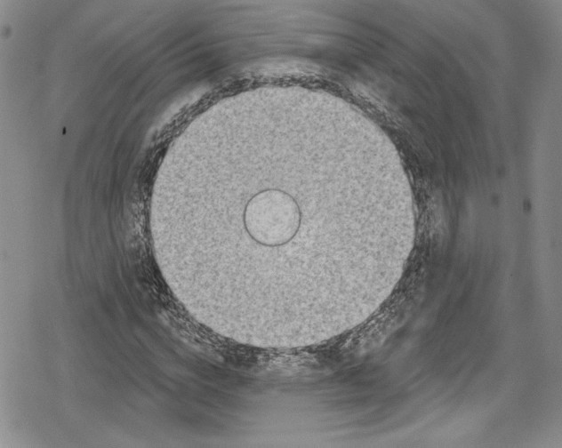 X0000078830824200612111517