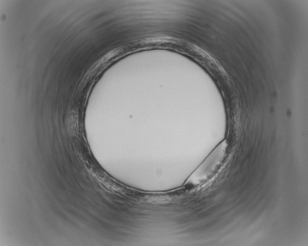 X0000078830825200612111517