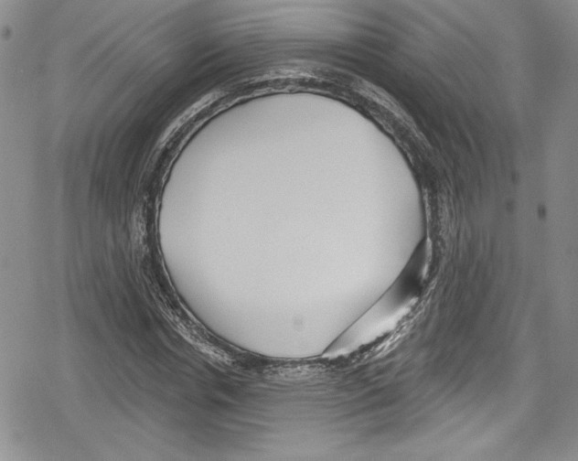 X0000078830826200612111517