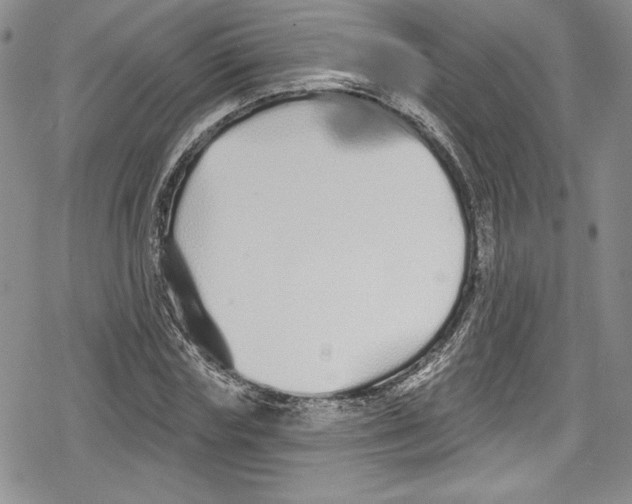 X0000078830827200612111517