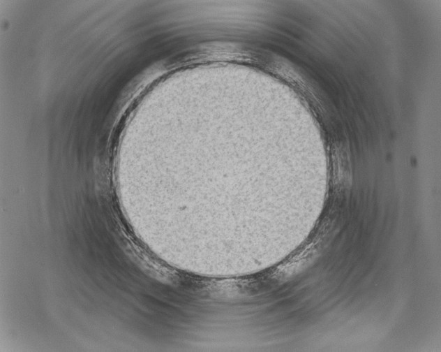 X0000078830828200612111517