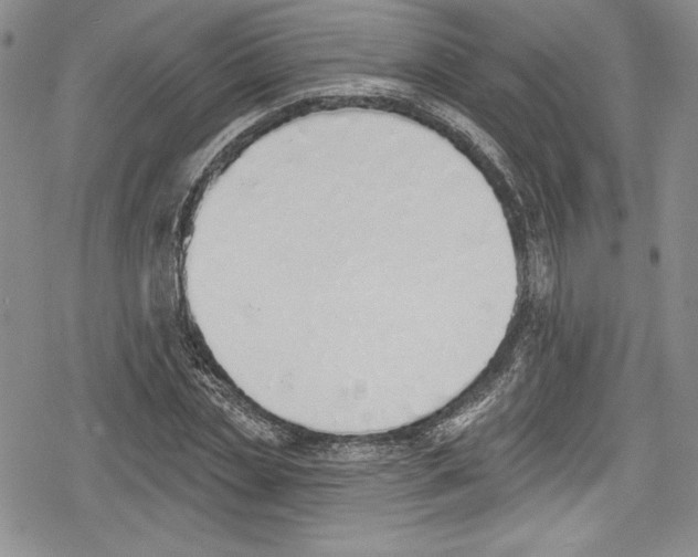 X0000078830829200612111517