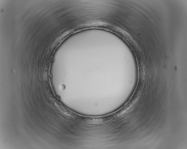 X0000078830833200612111517