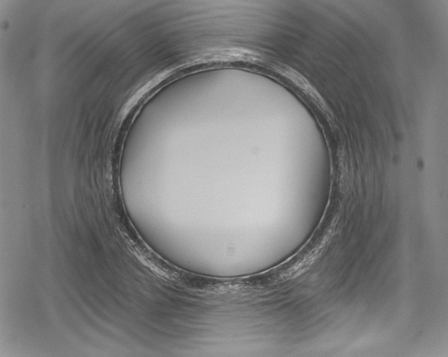 X0000078830834200612111517