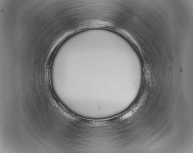 X0000078830835200612111517