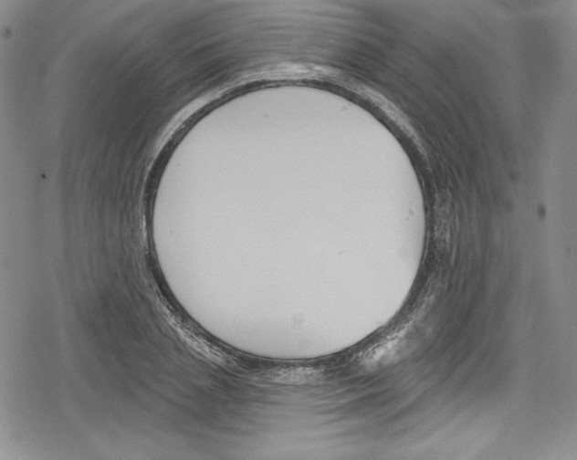 X0000078830837200612111517