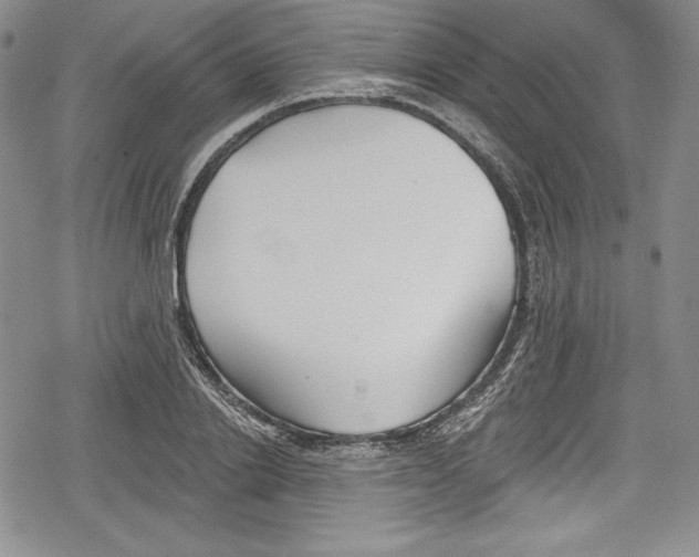 X0000078830838200612111517