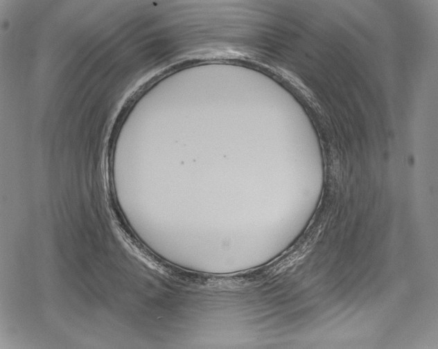 X0000078830840200612111517