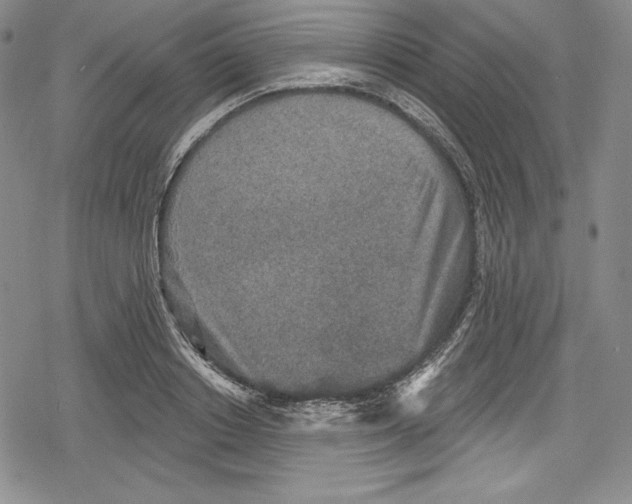 X0000078830842200612111517