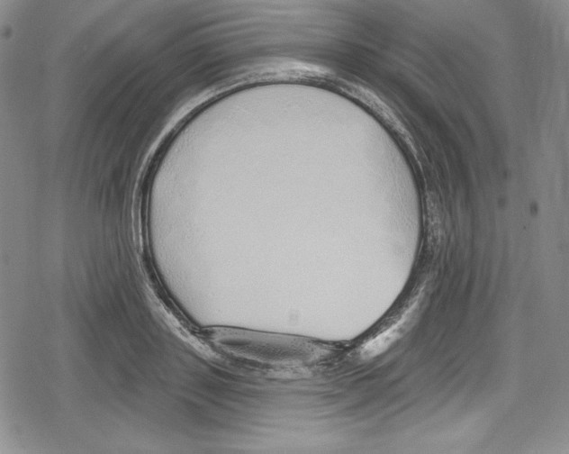 X0000078830843200612111517