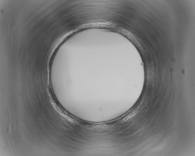 X0000078830844200612111517