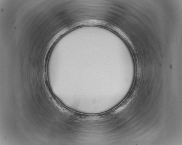 X0000078830845200612111517