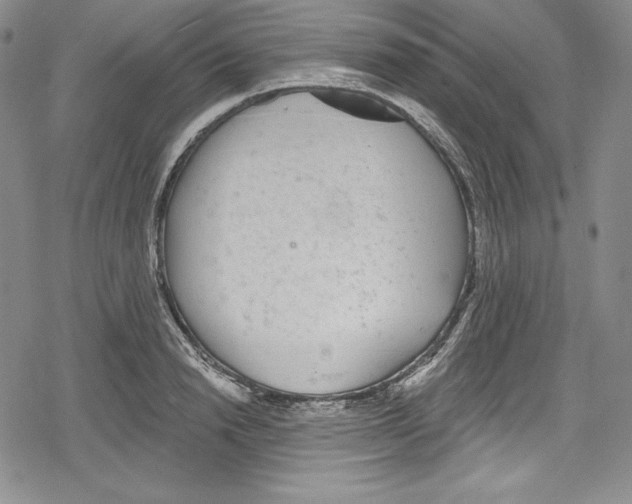 X0000078830846200612111517