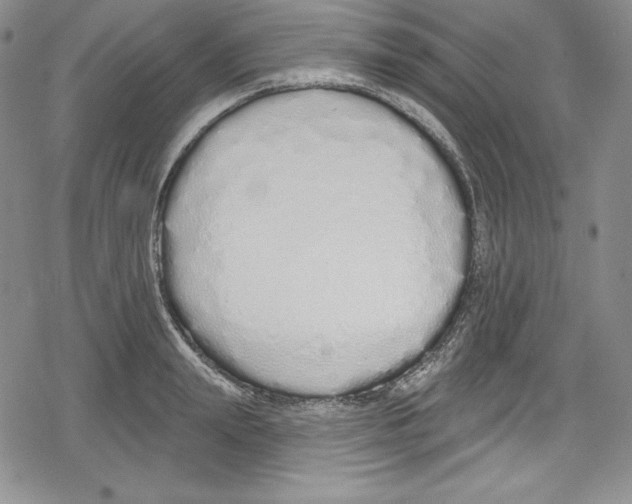 X0000078830847200612111518