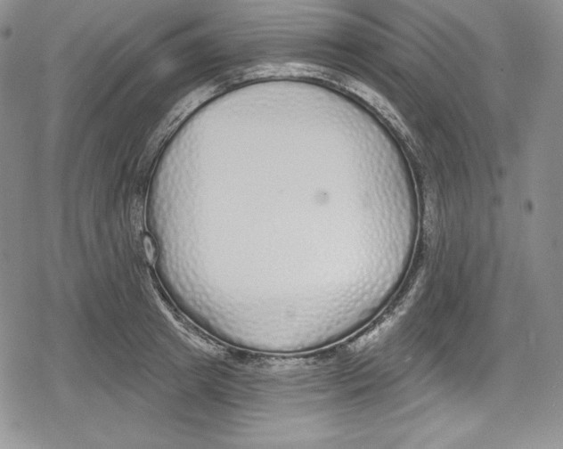 X0000078830849200612111518