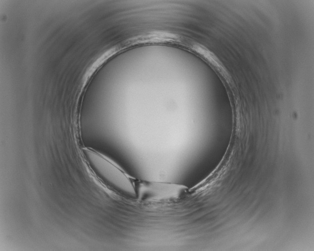 X0000078830850200612111518