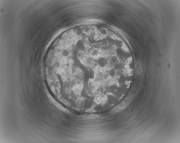 X0000078830851200612111518