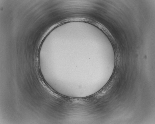 X0000078830852200612111518