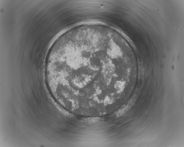 X0000078830853200612111518