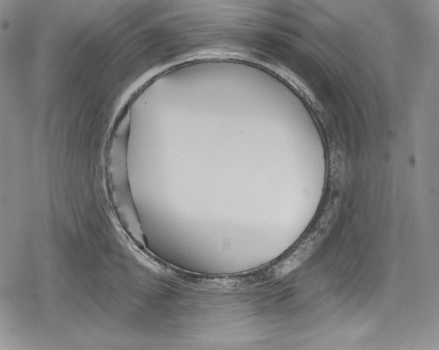 X0000078830854200612111518