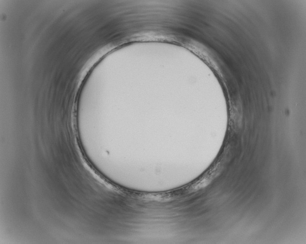 X0000078830855200612111518