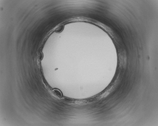 X0000078830857200612111518