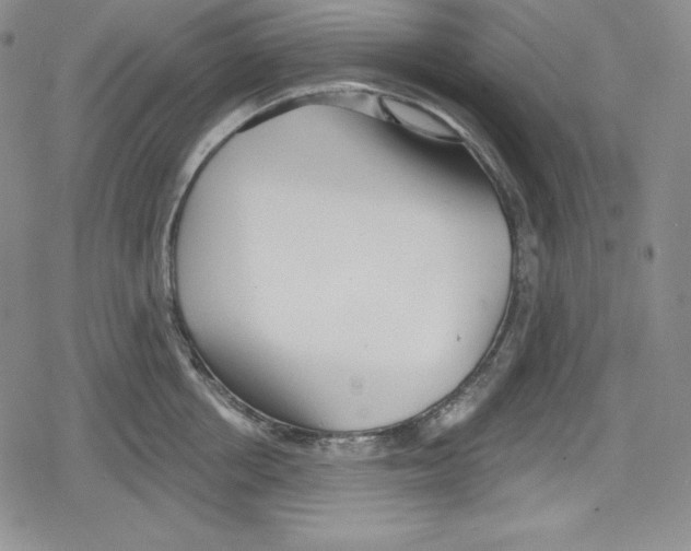 X0000078830858200612111518