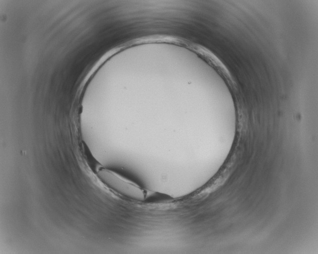 X0000078830860200612111518