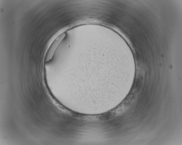 X0000078830861200612111518