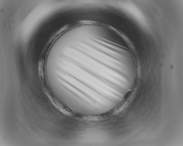 X0000078830862200612111518