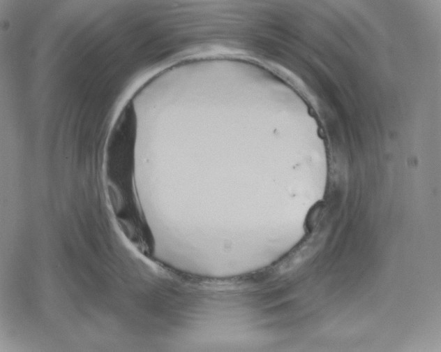 X0000078830863200612111518