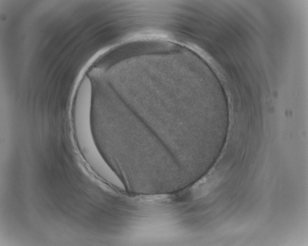 X0000078830864200612111518