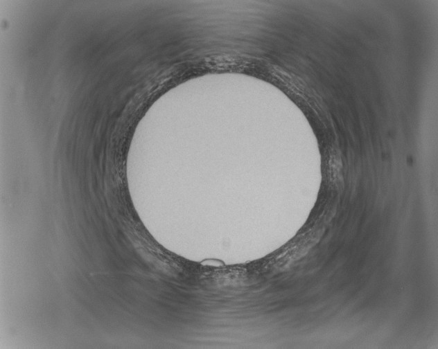 X0000078830865200612111517