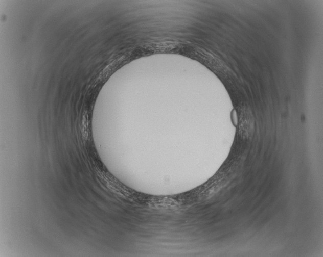 X0000078830866200612111517