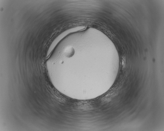 X0000078830867200612111517