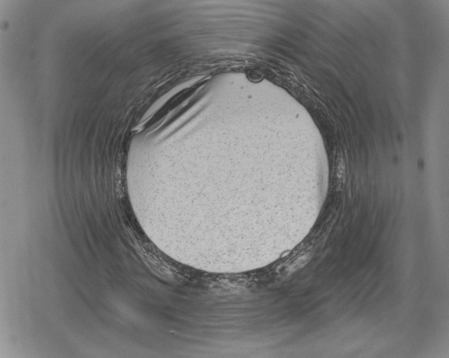 X0000078830868200612111517